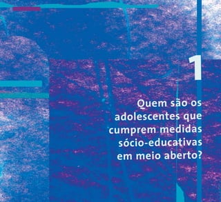 Quem são os
adolescentes que
cumprem medidas
sócio-educativas
em meio aberto?
1
 