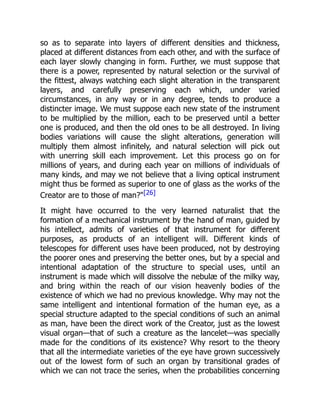 A Mathematical Modeling Framework To Simulate And Analyze Cell Type ...