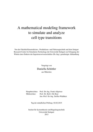 A Mathematical Modeling Framework To Simulate And Analyze Cell Type ...