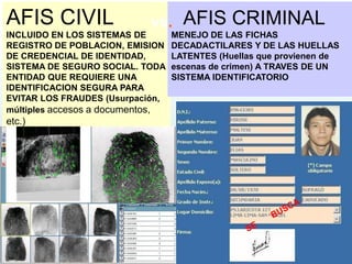 AFIS CIVIL
INCLUIDO EN LOS SISTEMAS DE
REGISTRO DE POBLACION, EMISION
DE CREDENCIAL DE IDENTIDAD,
SISTEMA DE SEGURO SOCIAL. TODA
ENTIDAD QUE REQUIERE UNA
IDENTIFICACION SEGURA PARA
EVITAR LOS FRAUDES (Usurpación,
múltiples accesos a documentos,
etc.)
AFIS CRIMINAL
MENEJO DE LAS FICHAS
DECADACTILARES Y DE LAS HUELLAS
LATENTES (Huellas que provienen de
escenas de crimen) A TRAVES DE UN
SISTEMA IDENTIFICATORIO
vs.
 