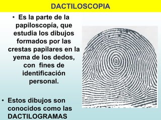 DACTILOSCOPIA
• Es la parte de la
papiloscopía, que
estudia los dibujos
formados por las
crestas papilares en la
yema de los dedos,
con fines de
identificación
personal.
• Estos dibujos son
conocidos como las
DACTILOGRAMAS
 