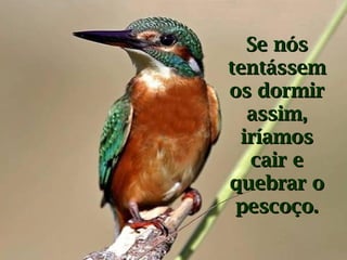 Se nós
tentássem
os dormir
  assim,
 iríamos
  cair e
quebrar o
 pescoço.
 