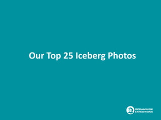Our Top 25 Iceberg Photos
 