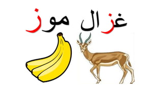 ‫غĬīزĬīالĬīموĬīزĬ
 