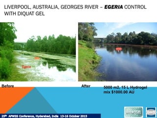 LIVERPOOL, AUSTRALIA, GEORGES RIVER – EGERIA CONTROL
WITH DIQUAT GEL
Before After 5000 m2, 15 L Hydrogel
mix $1000.00 AU
 