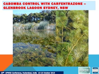 CABOMBA CONTROL WITH CARFENTRAZONE –
GLENBROOK LAGOON SYDNEY, NSW
 