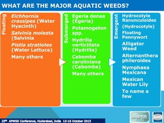 WHAT ARE THE MAJOR AQUATIC WEEDS?
 