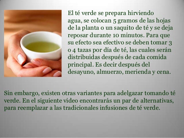 Como se prepara te verde para adelgazar