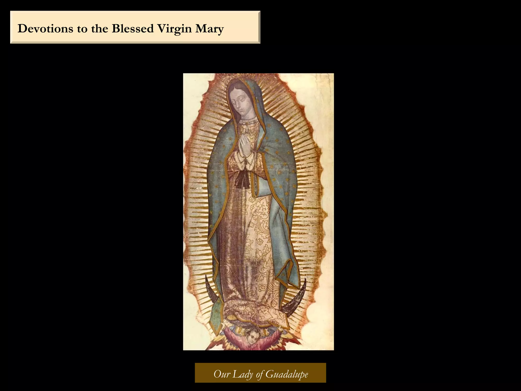 Devotions to the Blessed Virgin Mary
Our Lady of Guadalupe
 