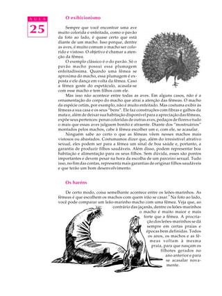 A U L A       O exibicionismo


25            Sempre que você encontrar uma ave
          muito colorida e enfeitada, como o pavão
          da foto ao lado, é quase certo que está
          diante de um macho. Isso porque, dentre
          as aves, é muito comum o macho ser colo-
          rido e vistoso. O objetivo é chamar a aten-
          ção da fêmea.
              O exemplo clássico é o do pavão. Só o
          pavão macho possui essa plumagem
          enfeitadíssima. Quando uma fêmea se
          aproxima do macho, essa plumagem é ex-
          posta e ele dança em volta da fêmea. Caso
          a fêmea goste do espetáculo, acasala-se
          com esse macho e tem filhos com ele.
              Mas isso não acontece entre todas as aves. Em alguns casos, não é a
          ornamentação do corpo do macho que atrai a atenção das fêmeas. O macho
          da espécie cetim, por exemplo, não é muito enfeitado. Mas costuma exibir às
          fêmeas a sua casa e os seus “bens”. Ele faz construções com fibras e galhos da
          mata e, além de deixar sua habitação disponível para a apreciação das fêmeas,
          expõe seus pertences: penas coloridas de outras aves, pedaços de flores e tudo
          o mais que essas aves julguem bonito e atraente. Diante dos “mostruários”
          montados pelos machos, cabe à fêmea escolher um e, com ele, se acasalar.
              Ninguém sabe ao certo o que as fêmeas vêem nesses machos mais
          vistosos ou abastados. Costumamos dizer que, além do irresistível atrativo
          sexual, eles podem ser para a fêmea um sinal de boa saúde e, portanto, a
          garantia de produzir filhos saudáveis. Além disso, podem representar boa
          habitação e alimentação para os seus filhos. Sem dúvida, esses são pontos
          importantes e devem pesar na hora da escolha de um parceiro sexual. Tudo
          isso, no fim das contas, representa mais garantias de originar filhos saudáveis
          e que terão um bom desenvolvimento.


              Os haréns

             De certo modo, coisa semelhante acontece entre os leões-marinhos. As
          fêmeas é que escolhem os machos com quem irão se casar.5 Na foto ao lado,
          você pode comparar um leão-marinho macho com uma fêmea. Veja que, ao
                                     contrário das jaçanãs, dentre os leões-marinhos
                                                    o macho é muito maior e mais
                                                      forte que a fêmea. A procria-
                                                        ção dos leões-marinhos se dá
                                                        sempre em certas praias e
                                                       épocas bem definidas. Todos
                                                         os anos, os machos e as fê-
                                                          meas voltam à mesma
                                                           praia, para que nasçam os
                                                                filhotes gerados no
                                                                   ano anterior e para
                                                                   se acasalar nova-
                                                                    mente.
 