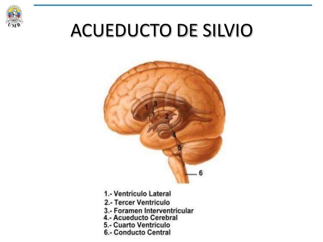CLASE 25 CORTE 3