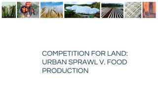 COMPETITION FOR LAND:
URBAN SPRAWL V. FOOD
PRODUCTION
Sustainable Biomes – Topic 1
 