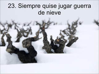 23. Siempre quise jugar guerra de nieve 