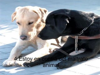 4.Estoy en contra del maltrato animal 