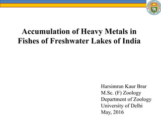 Accumulation of Heavy Metals in
Fishes of Freshwater Lakes of India
Harsimran Kaur Brar
M.Sc. (F) Zoology
Department of Zoology
University of Delhi
May, 2016
 