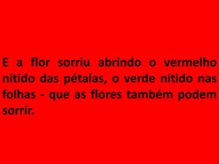 E a flor sorriu abrindo o vermelho
nítido das pétalas, o verde nítido nas
folhas - que as flores também podem
sorrir.
 