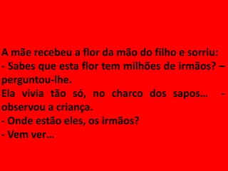 A mãe recebeu a flor da mão do filho e sorriu:
- Sabes que esta flor tem milhões de irmãos? –
perguntou-lhe.
Ela vivia tão só, no charco dos sapos… -
observou a criança.
- Onde estão eles, os irmãos?
- Vem ver…
 