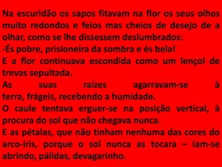 Na escuridão os sapos fitavam na flor os seus olhos
muito redondos e feios mas cheios de desejo de a
olhar, como se lhe dissessem deslumbrados:
-És pobre, prisioneira da sombra e és bela!
E a flor continuava escondida como um lençol de
trevas sepultada.
As        suas       raízes     agarravam-se      à
terra, frágeis, recebendo a humidade.
O caule tentava erguer-se na posição vertical, à
procura do sol que não chegava nunca.
E as pétalas, que não tinham nenhuma das cores do
arco-íris, porque o sol nunca as tocara – iam-se
abrindo, pálidas, devagarinho.
 