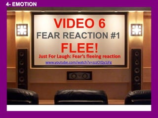 FEAR REACTION #1 
FLEE! 
Just For Laugh: Fear’s fleeing reaction 
www.youtube.com/watch?v=zzzCtQy1jFg 
4- EMOTION 
VIDEO 6 
 