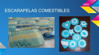MAN
ESCARAPELAS COMESTIBLES
 