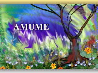 AMUME
 