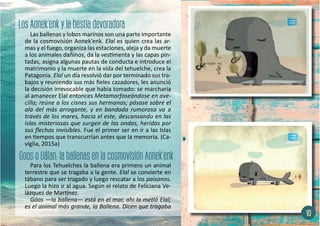 Las ballenas y lobos marinos son una parte importante
de la cosmovisión Aonek’enk. Elal es quien crea las ar-
mas y el fuego, organiza las estaciones, aleja y da muerte
a los animales dañinos, da la vestimenta y las capas pin-
tadas, asigna algunas pautas de conducta e introduce el
matrimonio y la muerte en la vida del tehuelche, crea la
Patagonia. Elal un día resolvió dar por terminado sus tra-
bajos y reuniendo sus más fieles cazadores, les anunció
la decisión irrevocable que había tomado: se marcharía
al amanecer Elal entonces Metamorfoseándose en ave-
cilla; reúne a los cisnes sus hermanos; pósase sobre el
ala del más arrogante, y en bandada rumorosa va a
través de los mares, hacia el este, descansando en las
islas misteriosas que surgen de las ondas, heridas por
sus flechas invisibles. Fue el primer ser en ir a las Islas
en tiempos que transcurrían antes que la memoria. (Ca-
viglia, 2015a)
Para los Tehuelches la ballena era primero un animal
terrestre que se tragaba a la gente. Elal se convierte en
tábano para ser tragado y luego rescatar a los paisanos.
Luego la hizo ir al agua. Según el relato de Feliciana Ve-
lázquez de Martínez.
Góos —la ballena— está en el mar, ahí la metió Elal;
es el animal más grande, la Ballena. Dicen que tragaba
10
 