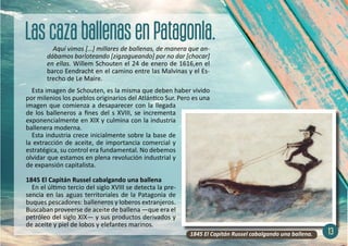 Aquí vimos […] millares de ballenas, de manera que an-
dábamos barloteando [zigzagueando] por no dar [chocar]
en ellas. Willem Schouten el 24 de enero de 1616,en el
barco Eendracht en el camino entre las Malvinas y el Es-
trecho de Le Maire.
Esta imagen de Schouten, es la misma que deben haber vivido
por milenios los pueblos originarios del Atlántico Sur. Pero es una
imagen que comienza a desaparecer con la llegada
de los balleneros a fines del s XVIII, se incrementa
exponencialmente en XIX y culmina con la industria
ballenera moderna.
Esta industria crece inicialmente sobre la base de
la extracción de aceite, de importancia comercial y
estratégica, su control era fundamental. No debemos
olvidar que estamos en plena revolución industrial y
de expansión capitalista.
1845 El Capitán Russel cabalgando una ballena
En el último tercio del siglo XVIII se detecta la pre-
sencia en las aguas territoriales de la Patagonia de
buques pescadores: balleneros y loberos extranjeros.
Buscaban proveerse de aceite de ballena —que era el
petróleo del siglo XIX— y sus productos derivados y
de aceite y piel de lobos y elefantes marinos.
13
1845 El Capitán Russel cabalgando una ballena.
 