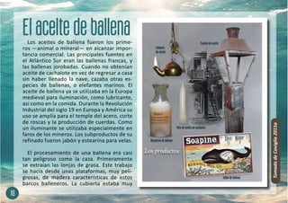 Los aceites de ballena fueron los prime-
ros —animal o mineral— en alcanzar impor-
tancia comercial. Las principales fuentes en
el Atlántico Sur eran las ballenas francas, y
las ballenas jorobadas. Cuando no obtenían
aceite de cachalote en vez de regresar a casa
sin haber llenado la nave, cazaba otras es-
pecies de ballenas, o elefantes marinos. El
aceite de ballena ya se utilizaba en la Europa
medieval para iluminación, como lubricante,
así como en la comida. Durante la Revolución
Industrial del siglo 19 en Europa y América su
uso se amplía para el temple del acero, corte
de roscas y la producción de cuerdas. Como
un iluminante se utilizaba especialmente en
faros de los mineros. Los subproductos de su
refinado fueron jabón y estearina para velas.
El procesamiento de una ballena era casi
tan peligroso como la caza. Primeramente
se extraían las lonjas de grasa. Este trabajo
se hacía desde unas plataformas, muy peli-
grosas, de madera características de estos
barcos balleneros. La cubierta estaba muy
18
Tomado
de
Caviglia
2015a
 