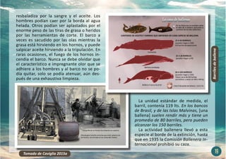 19
resbaladiza por la sangre y el aceite. Los
hombres podían caer por la borda al agua
helada. Otros podían ser aplastados por el
enorme peso de las tiras de grasa o heridos
por las herramientas de corte. El barco a
veces es sacudido por las olas mientras la
grasa está hirviendo en los hornos, y puede
salpicar aceite hirviendo a la tripulación. En
raras ocasiones, el fuego de los hornos in-
cendia el barco. Nunca se debe olvidar que
el característico e impregnante olor que se
adhiere a los hombres y al barco no se po-
día quitar, solo se podía atenuar, aún des-
pués de una exhaustiva limpieza.
La unidad estándar de medida, el
barril, contenía 119 lts. En los bancos
de Brasil, y de las Islas Malvinas, [una
ballena] suelen rendir más y tiene un
promedio de 80 barriles, pero pueden
alcanzar los 150 barriles.
La actividad ballenera llevó a esta
especie al borde de la extinción, hasta
que en 1935 la Comisión Ballenera In-
ternacional prohibió su caza.
Barriles
de
ballena
Tomado de Caviglia 2015a
 