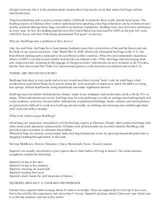 allergic reactions; but it is the psychosomatic trauma these tiny insects incite that makes bed bugs such an
unwelcome pest.
Tough exoskeletons and a secretive nature makes it difficult to eradicate these easily spread insect pests. The
bed bug experts at Eliminex Pest Control understand how upsetting a bed bug infestation can be to homeowners
and the potential damage these bugs can inflict on business reputations. Bedbugs have now hit hotels and homes
in every state. In fact, the bedbug population in the United States has increased by 500% in the past few years
with New Jersey and New York being documented "hot spots" of activity.
Why are Bed Bugs now a problem in New Jersey?
Like lice and fleas, bed bugs have been human bedmates since they crawled out of bat and bird nests and into
the beds of our ancient ancestors. After World War II, DDT effectively eliminated bed bugs in the U.S., but
these blood­sucking pests continued to be a problem in other countries. When the environmentally hazardous
effects of DDT were discovered and the insecticide was banned in the 1970s, bed bugs started creeping back
into American beds, returning in the luggage of foreign travelers. Infestations are now common in all 50 states,
but the New Jersey and New York City international gateway is the most heavily infested area in the U.S.
WHERE ARE BED BUGS FOUND?
Bed bugs hide deep in tiny cracks and crevices in and near their victims' beds. Look for adult bugs, shed
exoskeletons and telltale black fecal smears along the welts and tufts of mattresses, under the fabric covering
box springs, behind headboards, along baseboards and under nightstand drawers.
Bed bugs may also harbor behind picture frames, under loose wallpaper and inside alarm clocks, iPods, TVs or
lamps. When infestations are severe, bed bugs may be seen gathering on walls or ceilings near heating ducts and
a ripe raspberry scent may be noticeable. Infestations in apartment buildings, hotels, schools and nursing homes
are particularly difficult to control as bed bugs spread readily on clothing and cleaning carts and through ducts,
wall voids and utility conduits.
What to do when you get Bed Bugs?
If bed bugs are suspected, immediately call the bed bug experts at Eliminex. People often confuse bed bugs with
other insect pests and panic unnecessarily. Eliminex pest professionals can correctly identify Bed Bugs and
provide proper treatment to eliminate the problem.
When bed bugs are present, many people make bed bug infestations worse by spraying household pesticides or
dragging bedding through homes to the trash.
Serving Middlesex, Mercer, Somerset, Union, Monmouth, Essex, Ocean Counties
Squirrels are usually classified as a pest species due to their habits of living in houses. The most common
complaints include the following:
Squirrels living in the attic
Squirrels living in the chimney
Squirrels chewing on woodwork
Squirrels stealing bird seed
Squirrels stuck inside the wall structures of homes
SQUIRREL BIOLOGY: A YEAR­ROUND PROBLEM
Eastern Grey squirrel adults average about 16 ounces in weight. They can supposedly live for up to ten years,
but in the wild the life expectancy isn't more than 3­4 years. Squirrels produce about 2 litters per year which one
is in the late summer, and one in the winter.
 