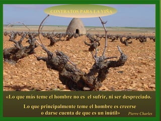 CONTRATOS PARA LA VIÑA «Lo que más teme el hombre no es  el sufrir, ni ser despreciado. Lo que principalmente teme el hombre es creerse  o darse cuenta de que es un inútil» Pierre Charles 