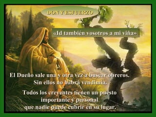 «Id también vosotros a mi viña» El Dueño sale una y otra vez a buscar obreros.  Sin ellos no habrá vendimia. Todos los creyentes tienen un puesto  importante y personal  que nadie puede cubrir en su lugar. DON Y ESFUERZO 