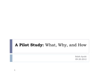 A Pilot Study: What, Why, and How
Soleh Ayubi
09-20-2012
1
 
