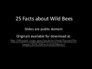 25 Facts about Wild Bees
Slides are public domain
Originals available for download at:
ftp://ftpext.usgs.gov/pub/er/md/laurel/Dr
oege/25%20Facts%20Bees/
 