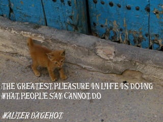 THE GREATEST PLEASURE IN LIFE IS DOING
WHAT PEOPLE SAY CANNOT DO

WALTER BAGEHOT-
 