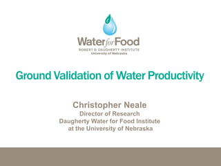 Christopher Neale
Director of Research
Daugherty Water for Food Institute
at the University of Nebraska
 