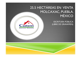 25.5 HECTÁREAS EN VENTA
MOLCAXAC, PUEBLA.
MÉXICO
ESCRITURA PÚBLICA
(LIBRE DE GRAVAMEN)

 
