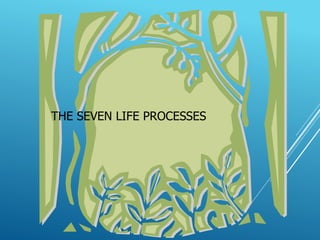 25howdoesenergyflowbetweenorganismsinanecosystem-170109071232.pptx.pptx