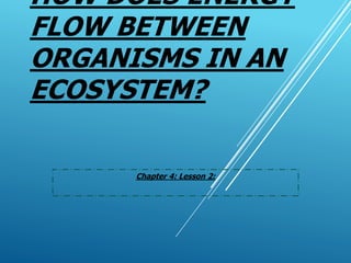 HOW DOES ENERGY
FLOW BETWEEN
ORGANISMS IN AN
ECOSYSTEM?
Chapter 4: Lesson 2:
 