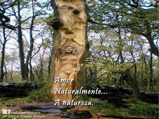 AmorAmor
Naturalmente...Naturalmente...
A natureza.A natureza.SculturaScultura
hagna'C29Julho14hagna'C29Julho14
 
