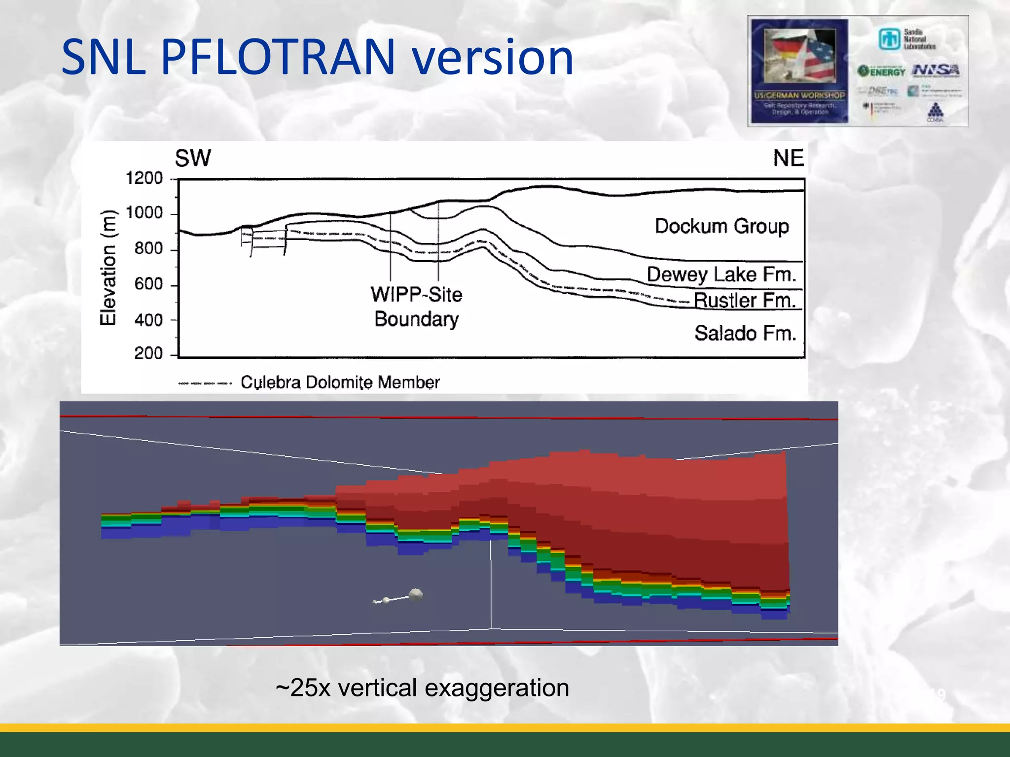 SNL PFLOTRAN version
19~25x vertical exaggeration
 