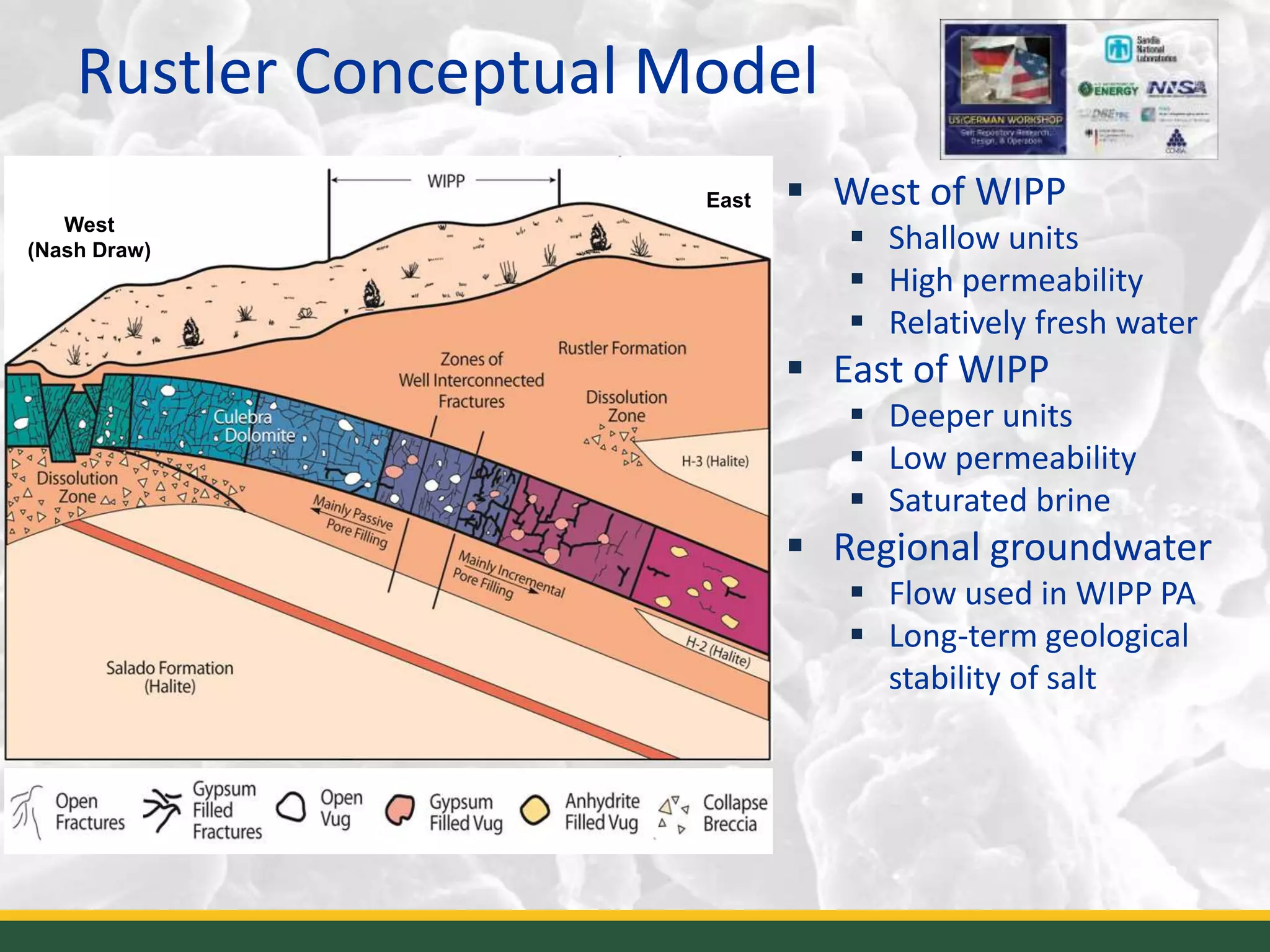 Rustler Conceptual Model
3
West
(Nash Draw)
East  West of WIPP
 Shallow units
 High permeability
 Relatively fresh water
 East of WIPP
 Deeper units
 Low permeability
 Saturated brine
 Regional groundwater
 Flow used in WIPP PA
 Long-term geological
stability of salt
 