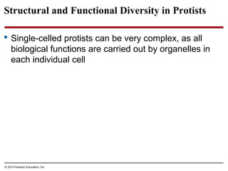 Structural and Functional Diversity in Protists
 Single-celled protists can be very complex, as all
biological functions are carried out by organelles in
each individual cell
© 2014 Pearson Education, Inc.
 