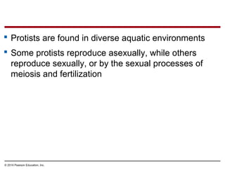  Protists are found in diverse aquatic environments
 Some protists reproduce asexually, while others
reproduce sexually, or by the sexual processes of
meiosis and fertilization
© 2014 Pearson Education, Inc.
 
