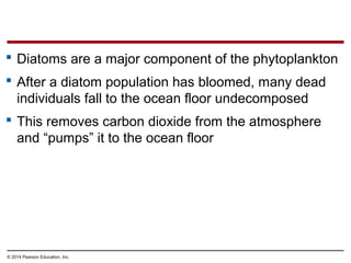  Diatoms are a major component of the phytoplankton
 After a diatom population has bloomed, many dead
individuals fall to the ocean floor undecomposed
 This removes carbon dioxide from the atmosphere
and “pumps” it to the ocean floor
© 2014 Pearson Education, Inc.
 