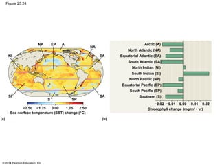 © 2014 Pearson Education, Inc.
Figure 25.24
NI
SI
S SP
SA
EA
NA
AEPNP
Sea-surface temperature (SST) change (°C)
−2.50 −1.25 0.00 1.25 2.50
(a) (b)
Southern (S)
South Pacific (SP)
Equatorial Pacific (EP)
North Pacific (NP)
South Indian (SI)
North Indian (NI)
South Atlantic (SA)
Equatorial Atlantic (EA)
North Atlantic (NA)
Arctic (A)
Chlorophyll change (mg/m2
• yr)
−0.02 −0.01 0.00 0.01 0.02
 