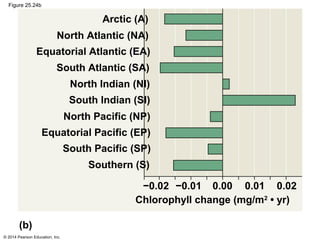 © 2014 Pearson Education, Inc.
Figure 25.24b
−0.02 −0.01 0.00 0.01 0.02
Southern (S)
South Pacific (SP)
Equatorial Pacific (EP)
North Pacific (NP)
South Indian (SI)
North Indian (NI)
South Atlantic (SA)
Equatorial Atlantic (EA)
North Atlantic (NA)
Arctic (A)
Chlorophyll change (mg/m2
• yr)
(b)
 