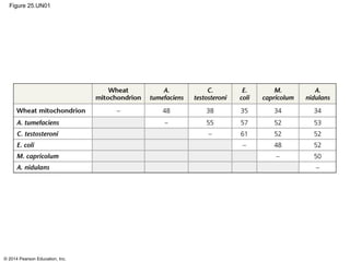 © 2014 Pearson Education, Inc.
Figure 25.UN01
 