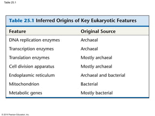 © 2014 Pearson Education, Inc.
Table 25.1
 