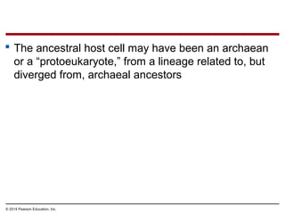  The ancestral host cell may have been an archaean
or a “protoeukaryote,” from a lineage related to, but
diverged from, archaeal ancestors
© 2014 Pearson Education, Inc.
 